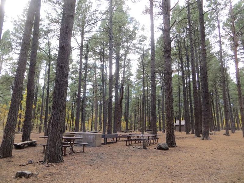 Dairy Springs Group Site