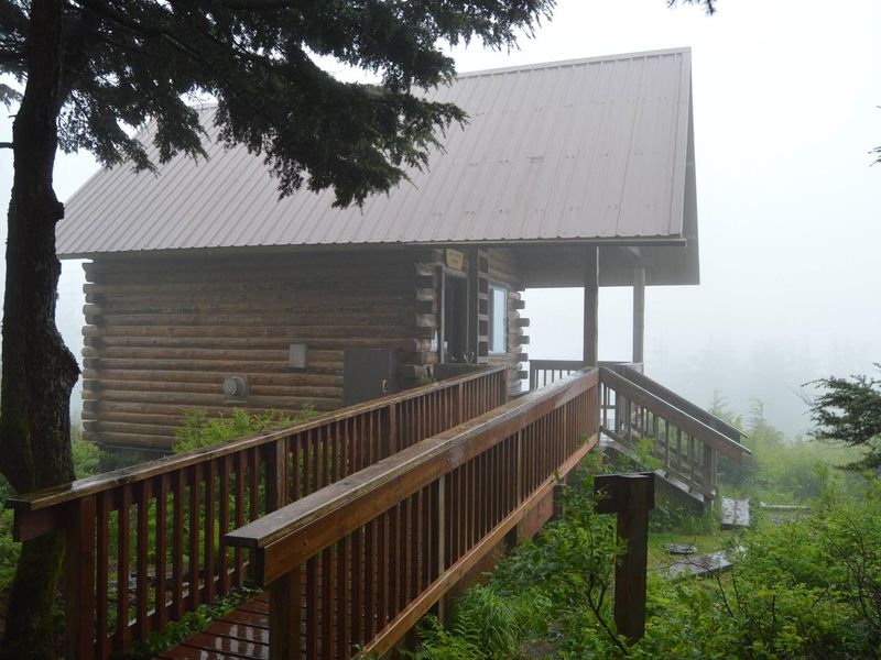 Rainy day view from the outhouse
