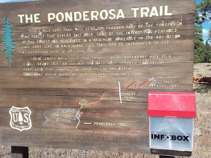 Sign for the Ponderosa Trail