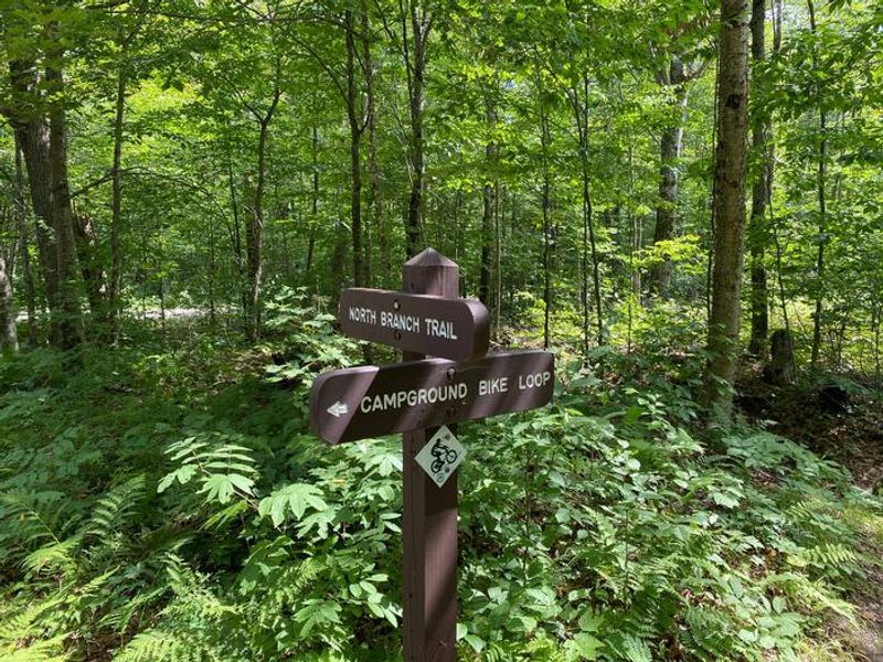 Bike Trail Loop around campground