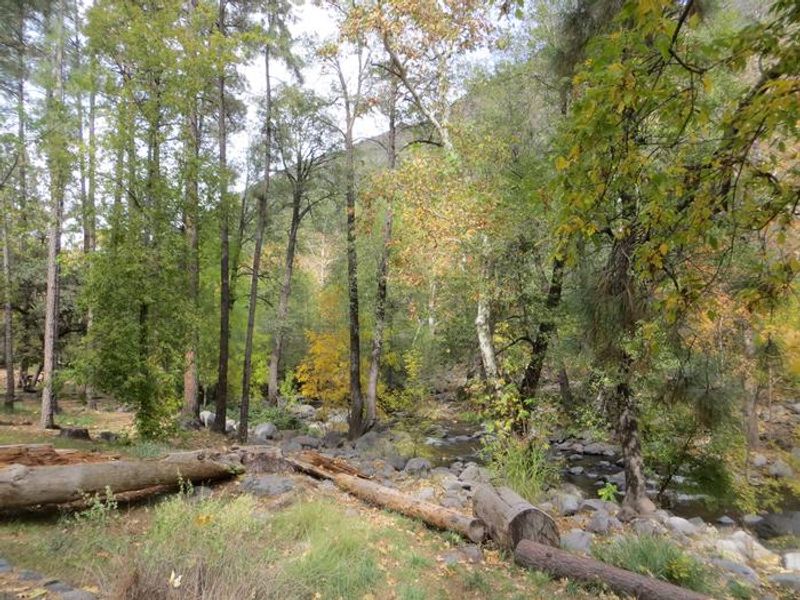 Manzanita Campground