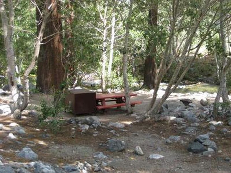 Upper Sage Campsite