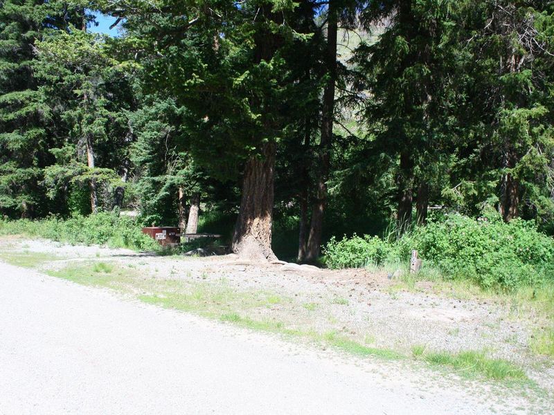 Slough Creek Campground Site #10