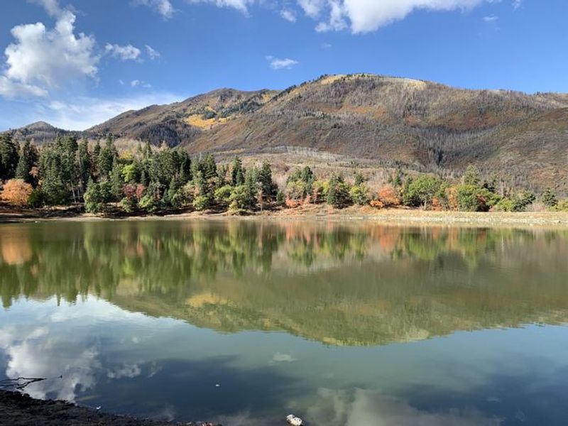 Maple Lake Fall colors