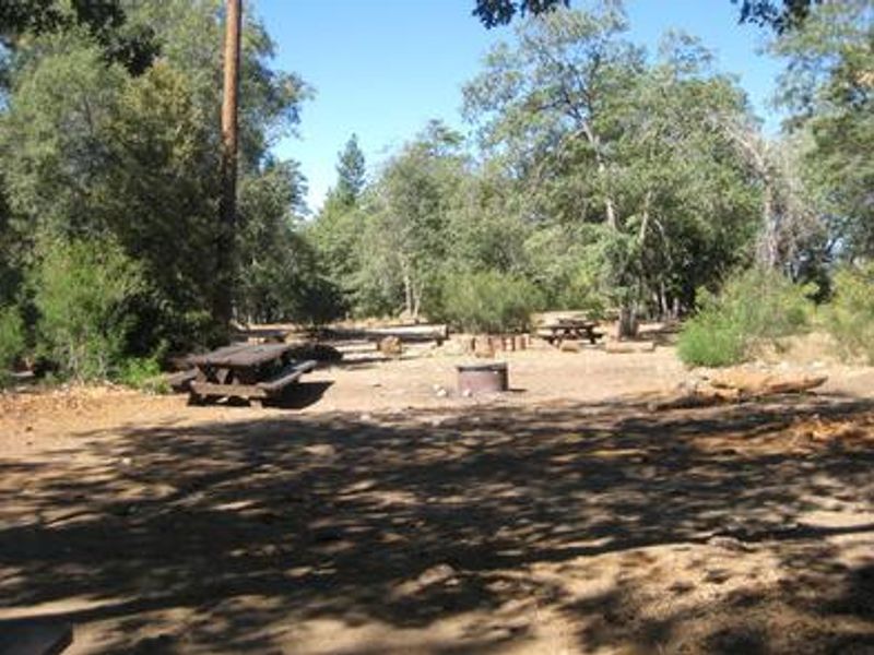 Shade, picnic tables & fire pits of the Oso Group Campground