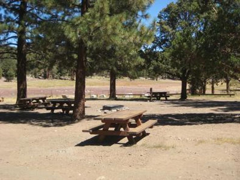 Juniper Springs Group Campground picnic tables