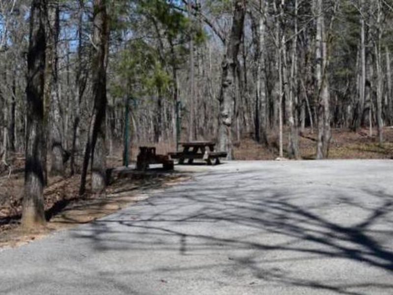 Yellow Hammer Loop - Site 2
March 7, 2020