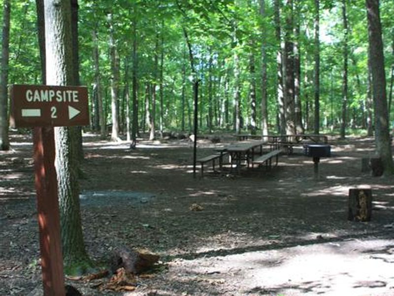 Entrance to Campsite 2 with chest high 4x4 post with wood sign "Campsite 2"