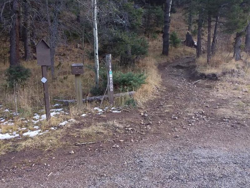 Agua Piedra Campground Trail