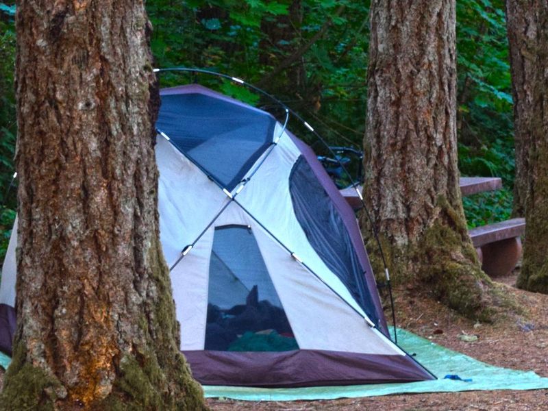 Campsite
