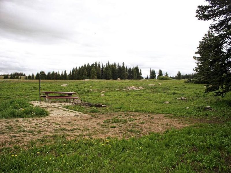 Bald Mountain Site 3