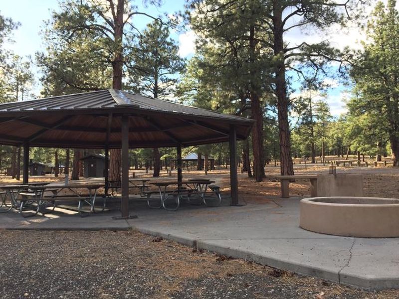 O'Leary Group Campground Site 1