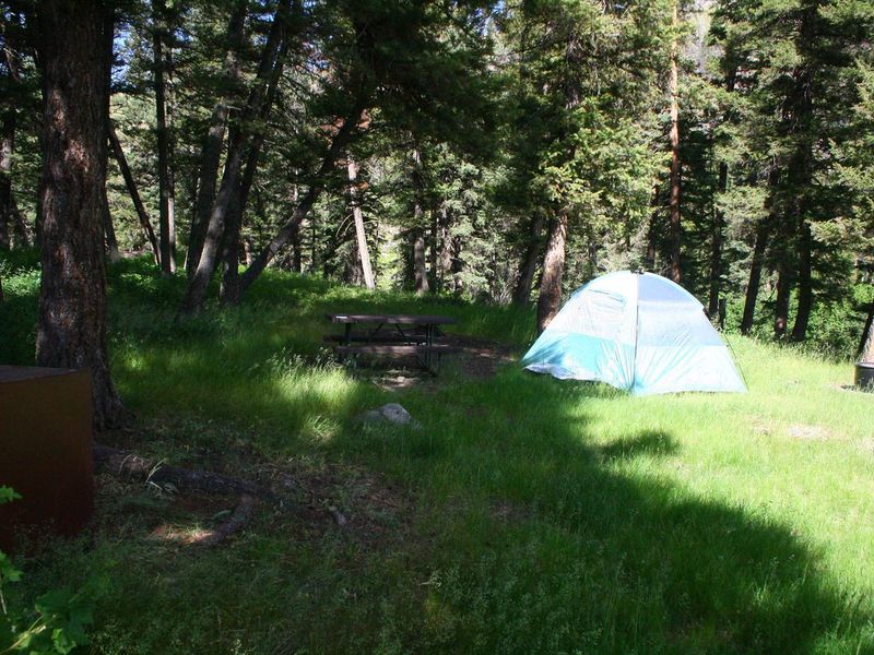 Slough Creek Campground Site #13