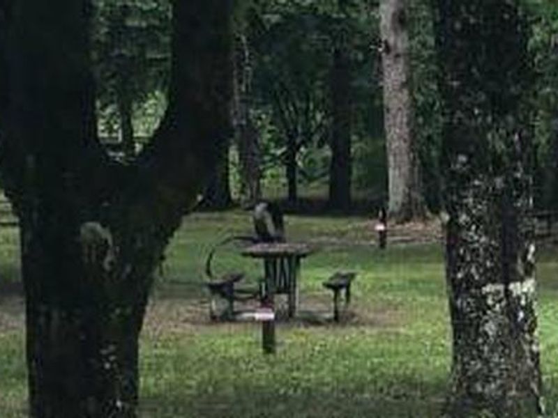 view of walk-up campsites