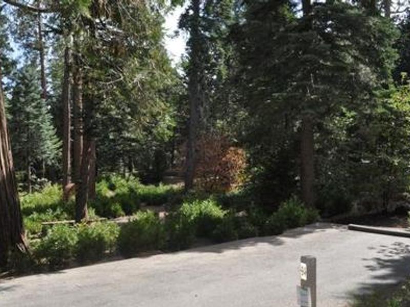 Beautiful scenery at Dogwood Campground