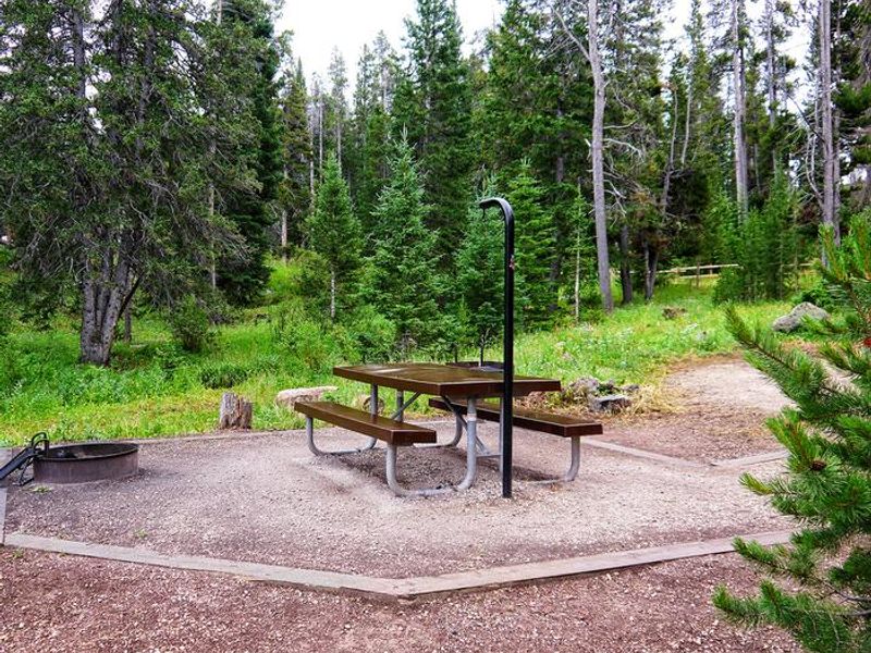 North Tongue Campsite