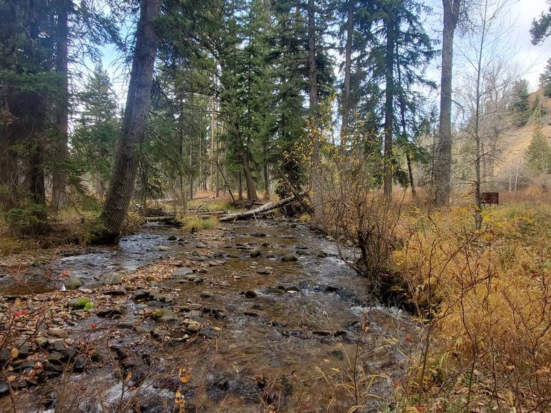 Stony Creek runs alongside the campground