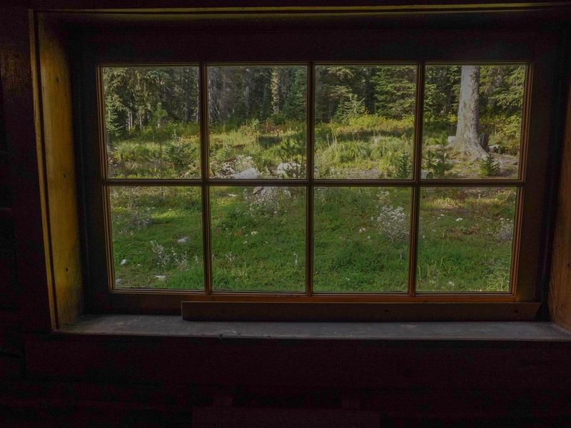 View from kitchen window