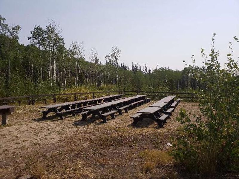 BOTTLE CREEK GROUP Preview