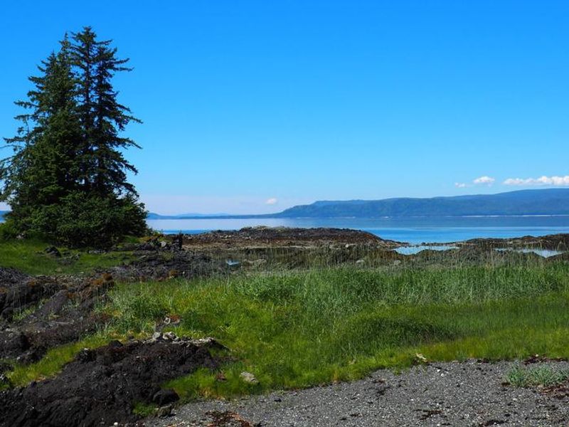 View from Steamer Bay Cabin