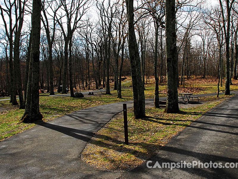 Lewis Mountian Campsite #9 Pull Through