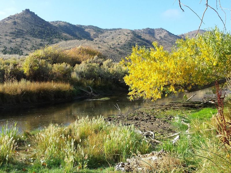 A photo of Beaver River within the  Hanging Rock Campground 