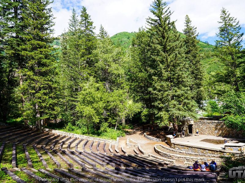 Theater In The Pines