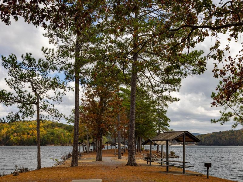 Woodring Day Use Area Picnic Area. 