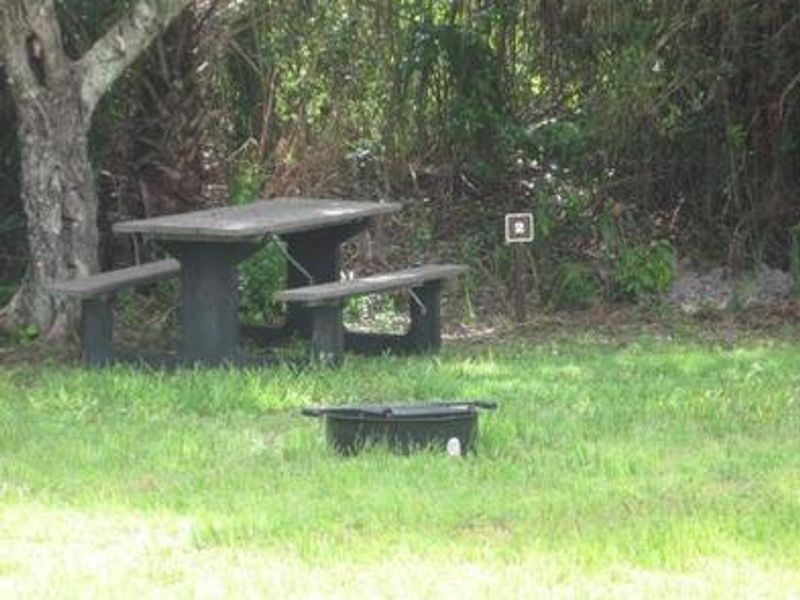 Campsite at Pinecrest