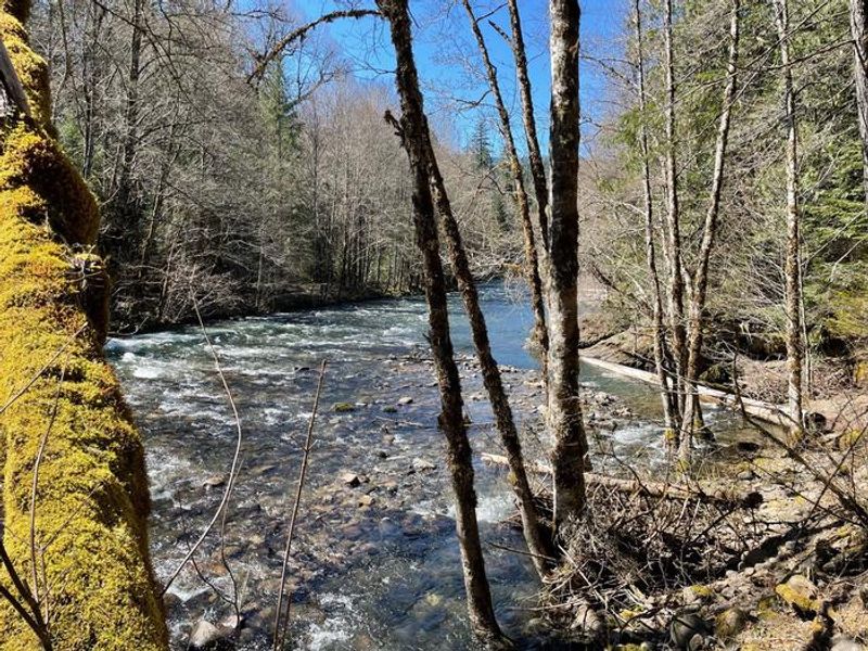 The Middle Fork River runs alongside the campground, with several sites located right on the bank of the river.