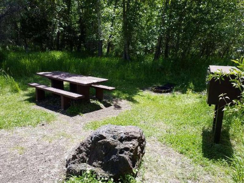 Campsite table near trees