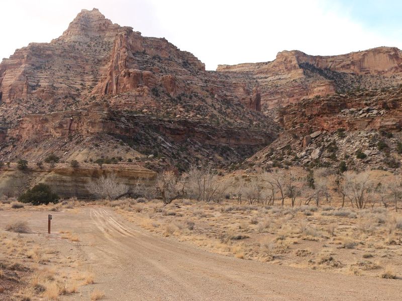 Lower Buckhorn Draw, campsites 31-32