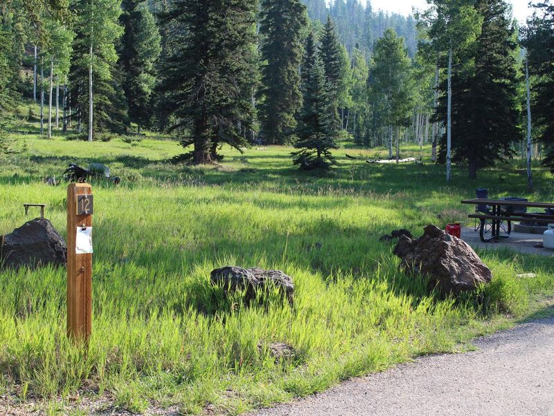 A Loop site 12 nestled aginst this beautiful green meadow.