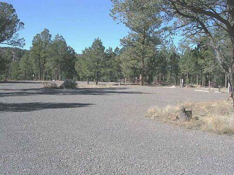 Juniper Campground - Sample Site 2