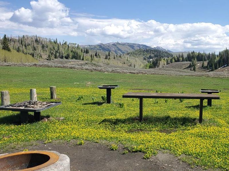 Lake Canyon Campground