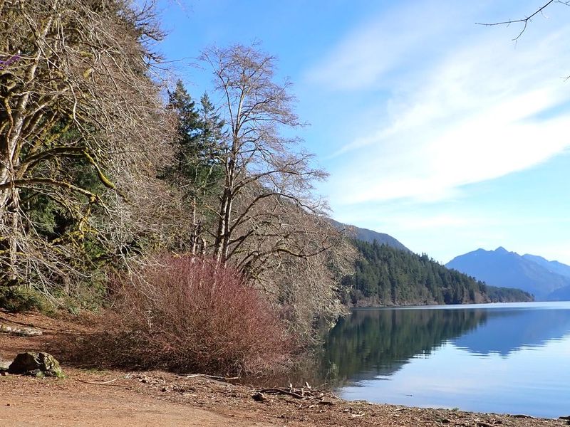 View of trees, lake, and mountains from the boat launch