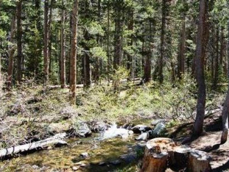 Coldwater Campground