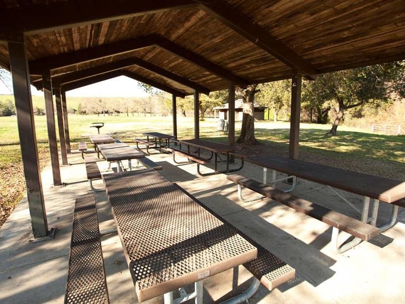 Willow Field Group picnic #5