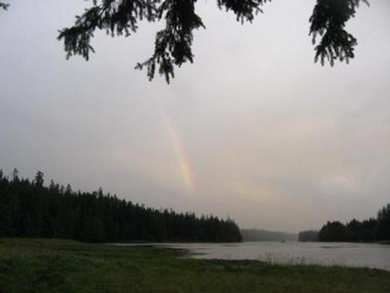 Salt Chuck East Cabin