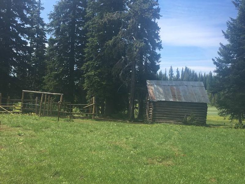 The Cabin is surrounded by open green meadows, high country lodgepole pine trees. Barn and horse corral is nearby.