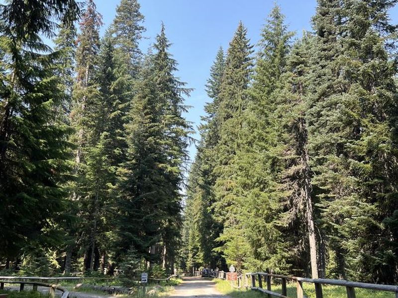 Big Meadows Horse Camp