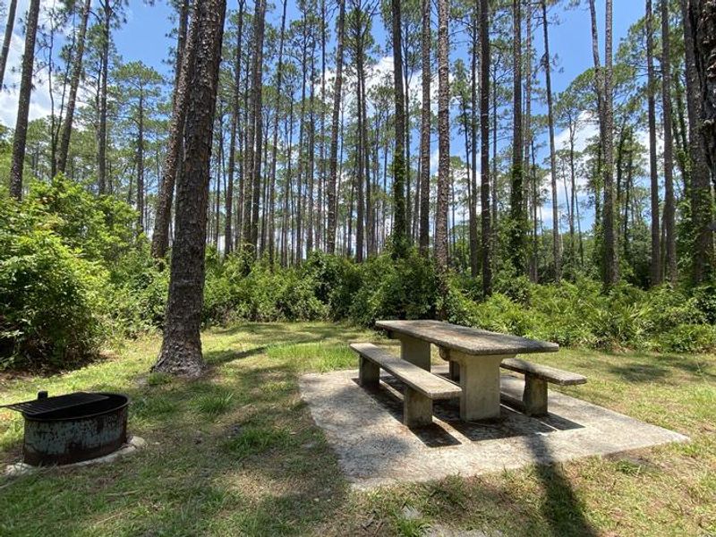 A photo of facility Lake Dorr Campground with Picnic Table, Fire Pit, Shade, Food Storage, Tent Pad