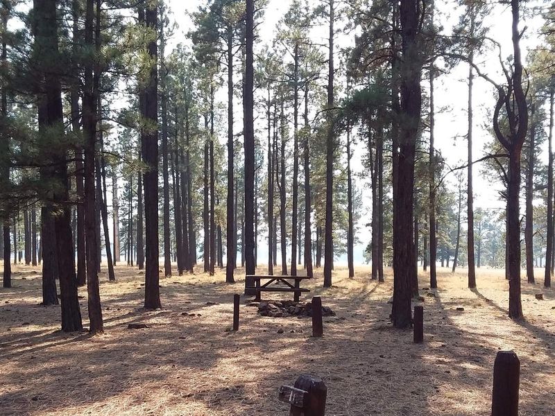 Benny Creek Group Area