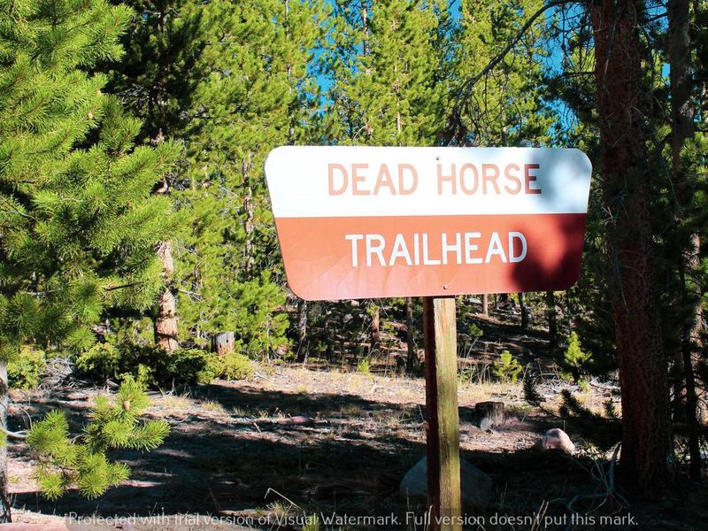 Deadhorse Trailhead Campground