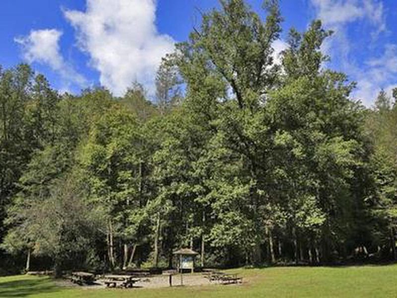 Lover Cove Creek Picnic Area