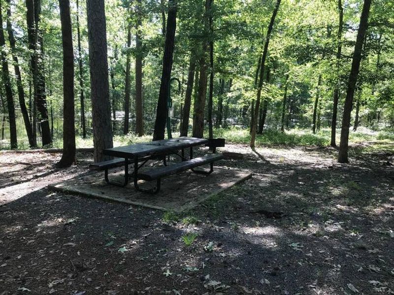 Campsite #11. Tent site with the following amenities: fire-pit, grill, picnic table, lantern pole, trash can.