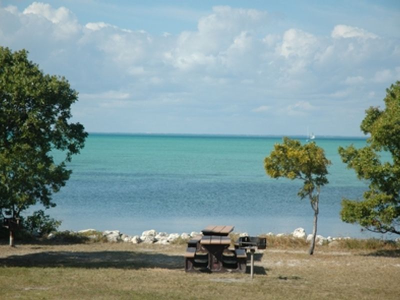 Features waterside and partially forested camping area, picnic tables and grills.