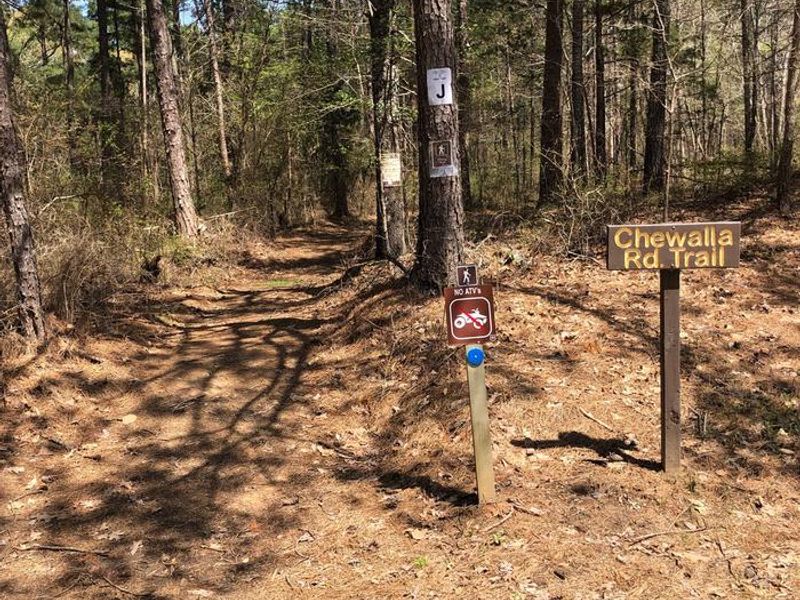 Chewalla Rd. Trail