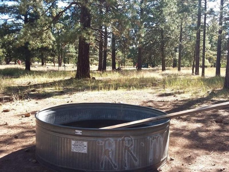 Little Elden Springs Horse trough
