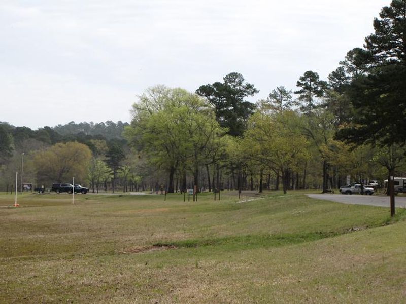 Parker Creek lower road